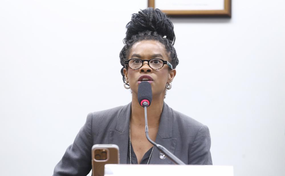 Deputada Carol Dartora é eleita presidenta da Comissão de Cultura da Câmara