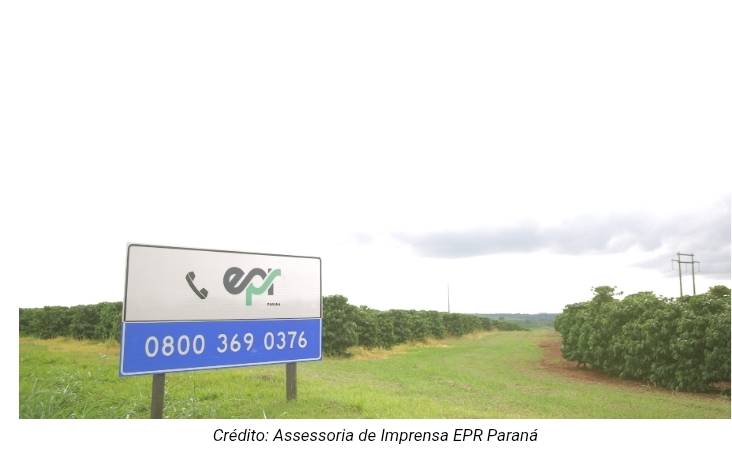 Cultivando Caminhos: EPR Paraná orienta produtores sobre regularização do plantio