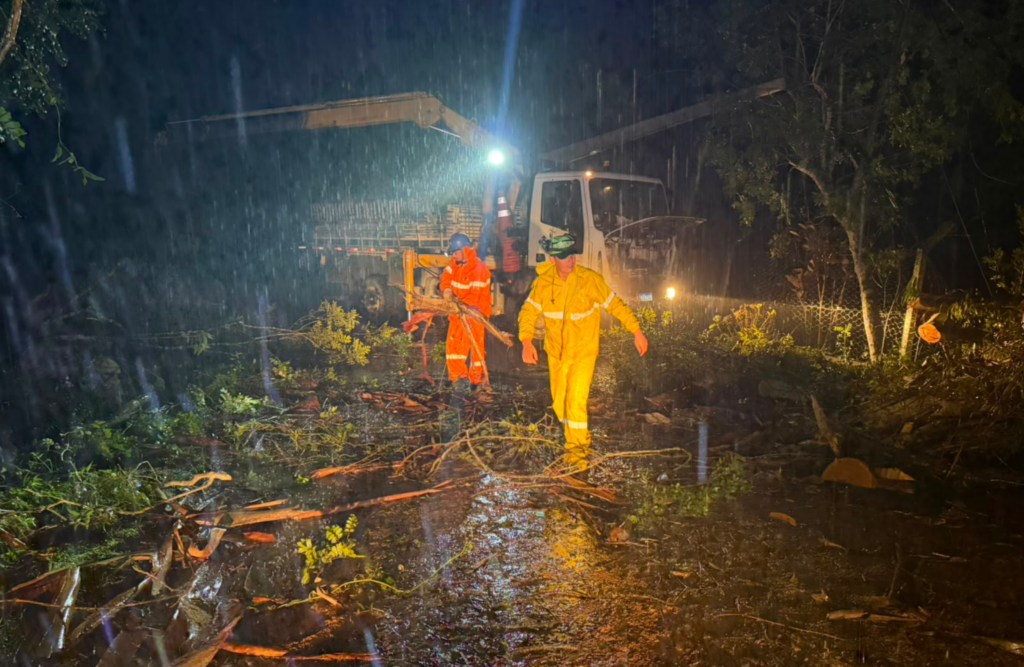 Prefeitura de São José dos Pinhais atua na desobstrução de vias após fortes chuvas e reforça alerta para risco de tempestades